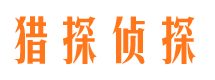 民丰市场调查